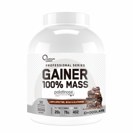 100% Mass Gainer 3000 грамм (Шоколад)